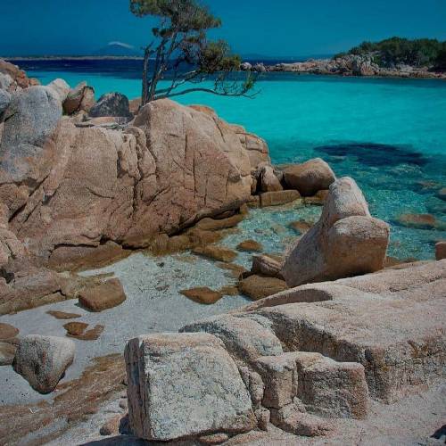 احسان تبادکان ببخش که عاشقت شدم مثل نفس شدی برام حالا که تو میخوای بری